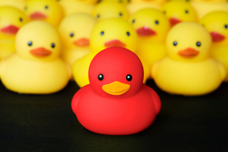 Syndrome du canard comment ne pas être un canard avec les filles ? Coaching Séduction